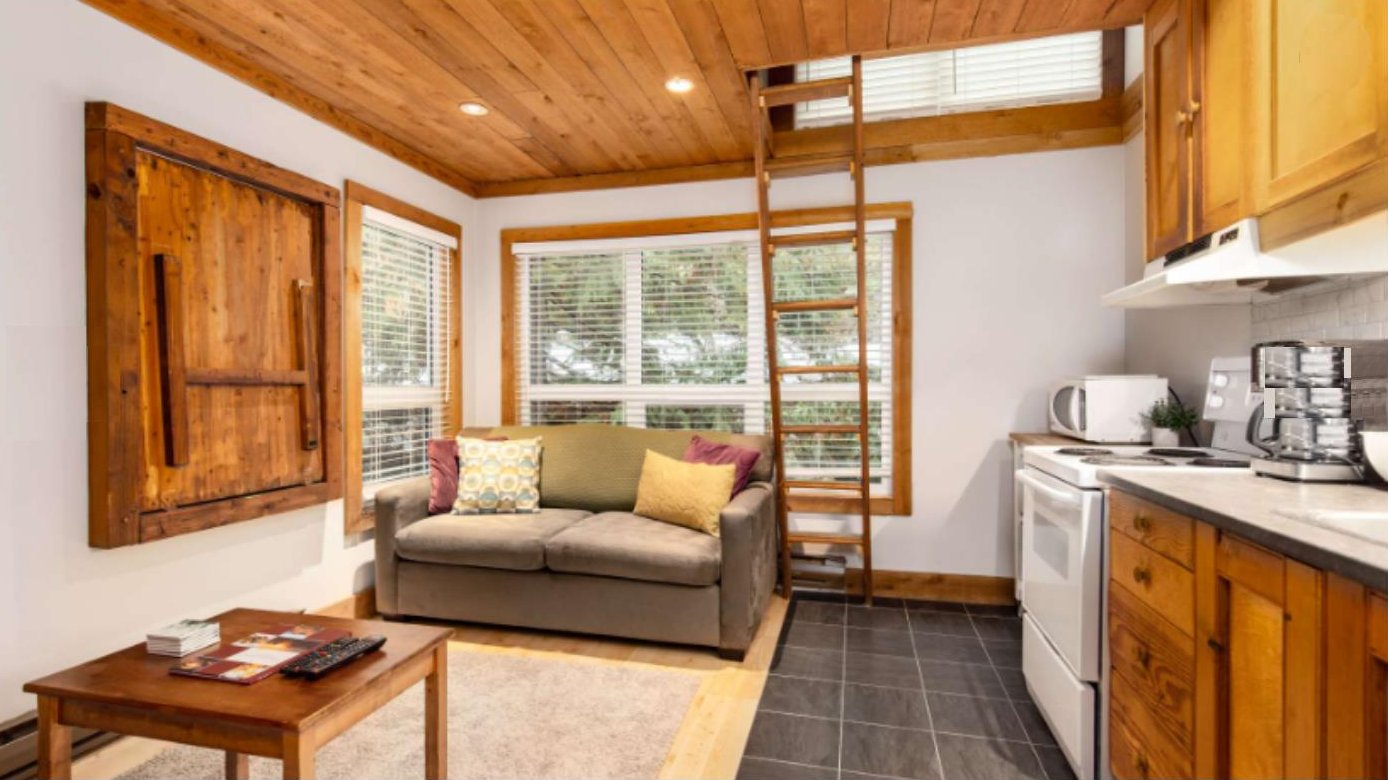 Living room with a cedar plank ceiling, a sofa and windows to the trees, open to the kitchen