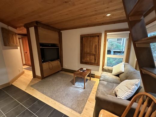 Living area with the television, light wood floors and the ladder up to the loft
